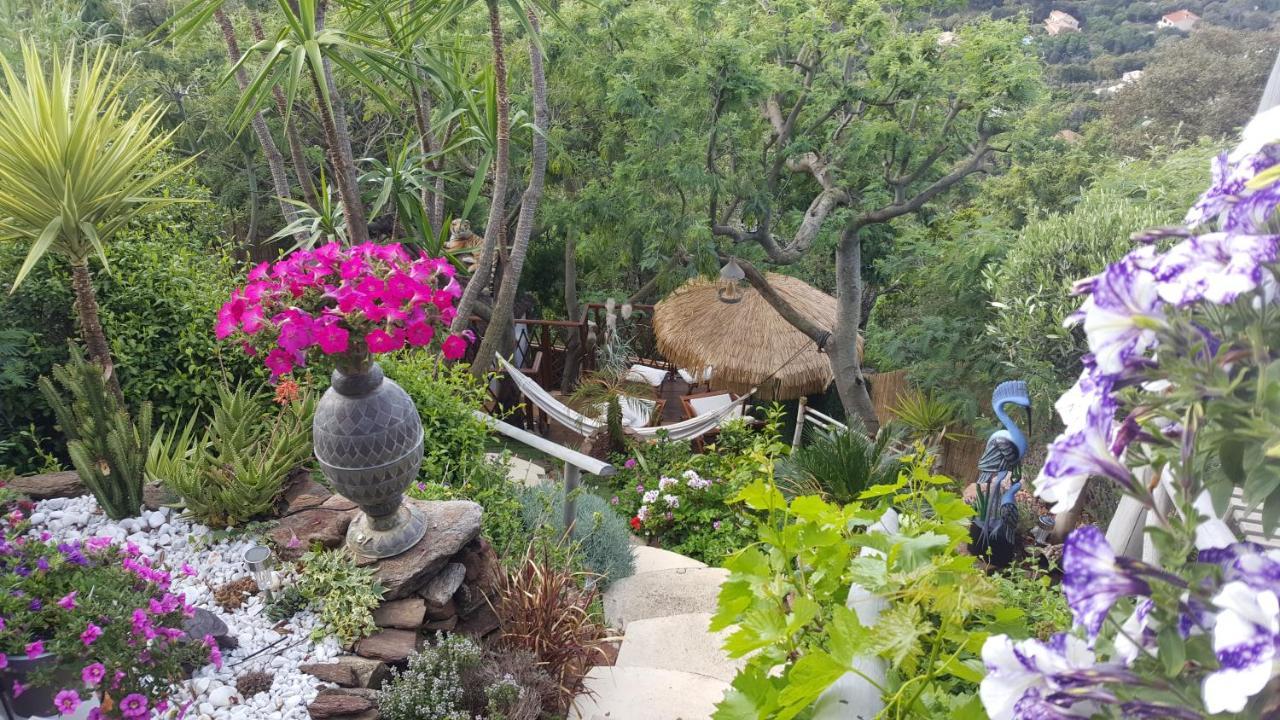 Nouveau ! Chambre D'Hote Insolite Privee " Coeurs De Pirates A Bali En Provence" Spa Sauna Massages Dans Cadre Exotique D'Amenagements Exterieurs D'Exception Ete Comme Hiver Bienvenue !!! Cavalaire-sur-Mer Exteriér fotografie