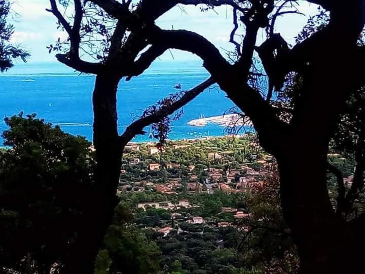 Nouveau ! Chambre D'Hote Insolite Privee " Coeurs De Pirates A Bali En Provence" Spa Sauna Massages Dans Cadre Exotique D'Amenagements Exterieurs D'Exception Ete Comme Hiver Bienvenue !!! Cavalaire-sur-Mer Exteriér fotografie